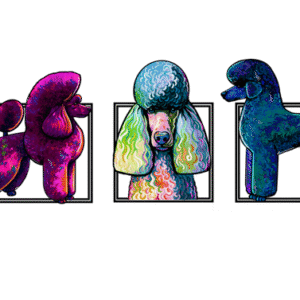 GroomTeam USA Sanctioned Class Sweatshirt